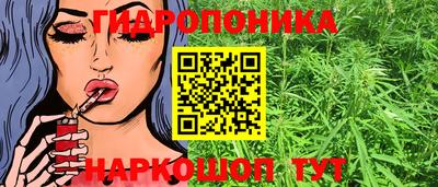 метадон Можга